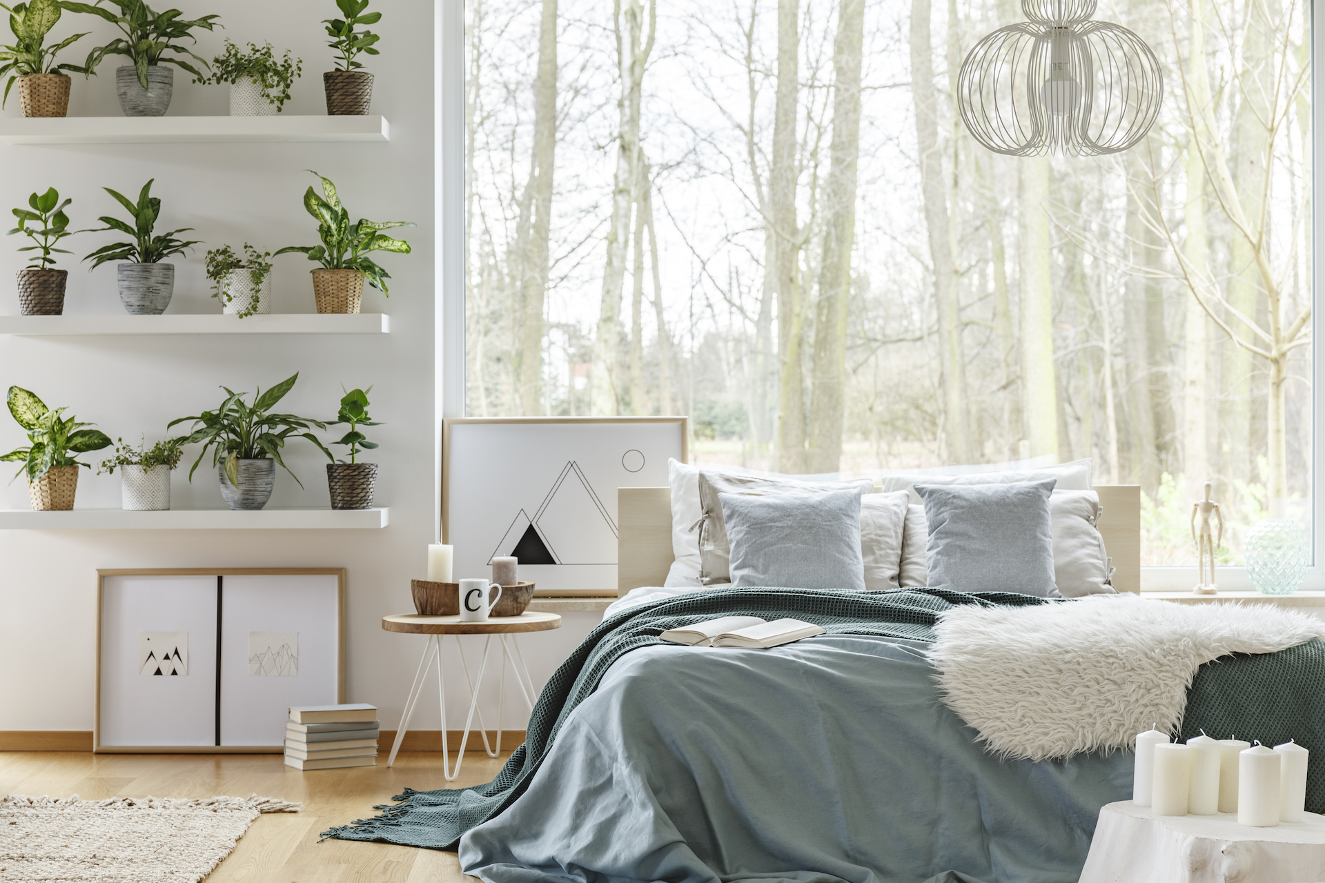 King-size bed and plants on shelves in cozy bedroom interior with a large window