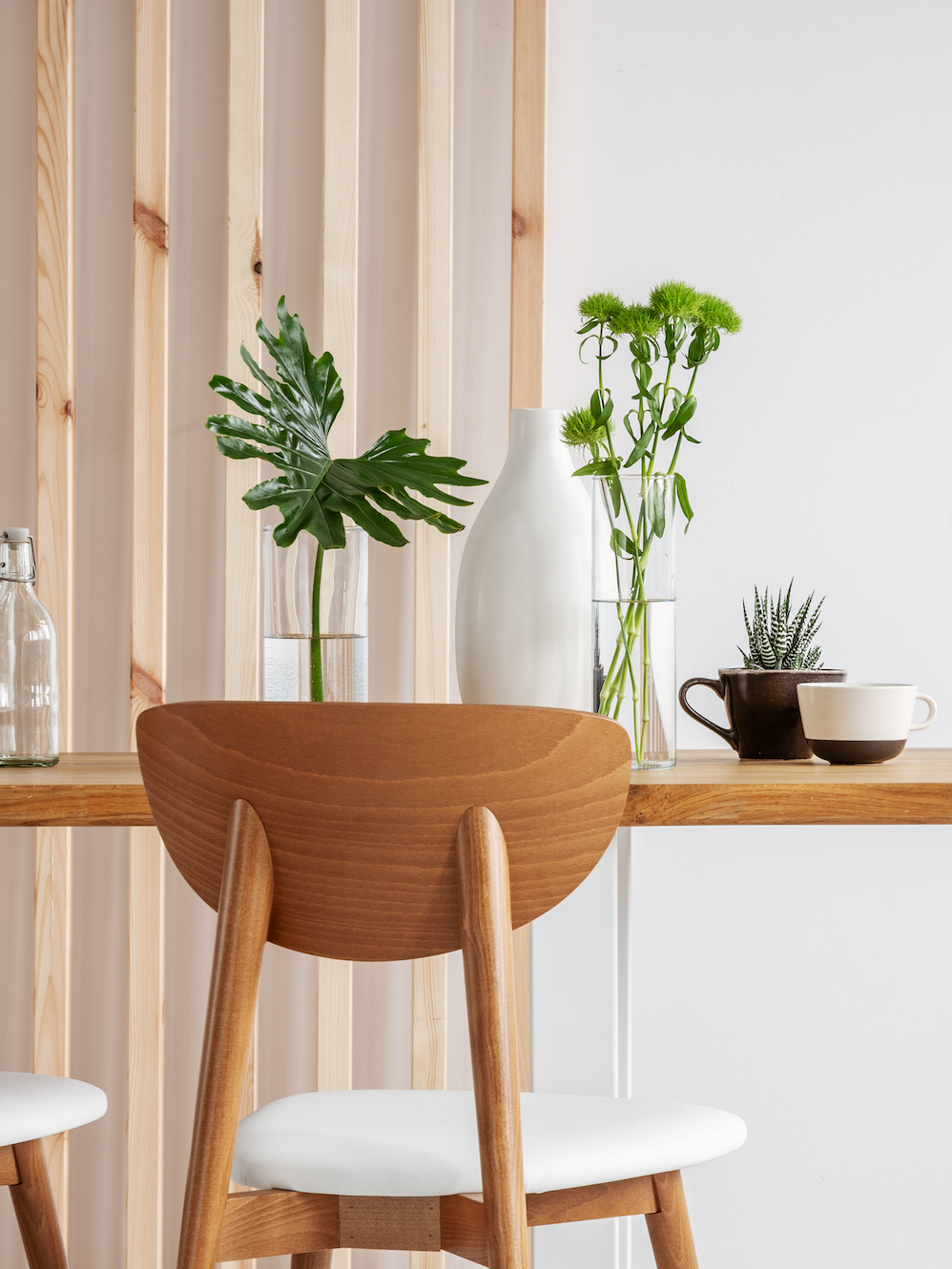 Green plants in small vases on long wooden dining table in bright interior