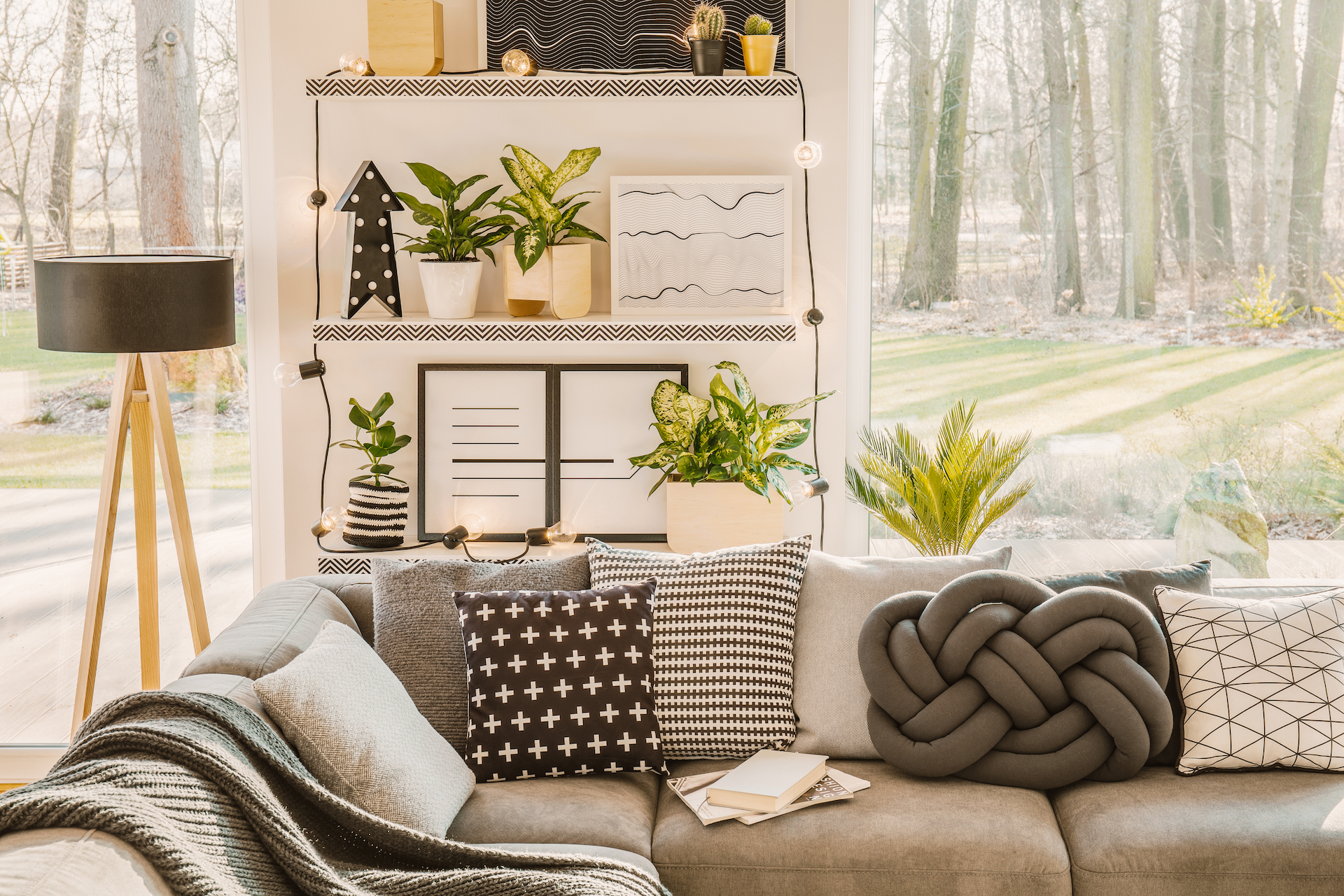 Patterned pillows on grey couch in living room interior with plants on shelves near window