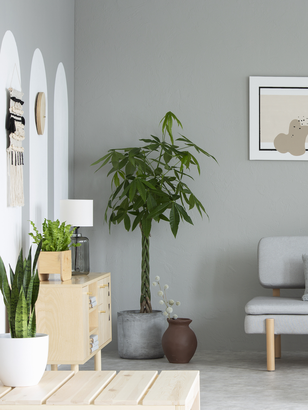 Wooden table in front of grey sofa in simple living room interior with posters and plants. Real photo