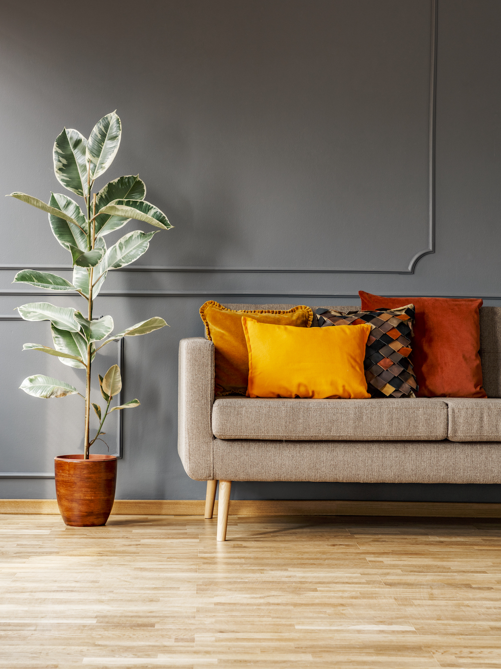 Ficus next to brown sofa with orange cushions in grey living room interior. Real photo. Paste your poster here